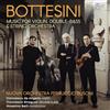 BRILLIANT CLASSICS Music for Violin, Double-Bass & String O rchestra