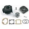 TOP-DR KT00088 GRUPPO TERMICO DR EVOLUTION 70CC GHISA ARIA D.47 SPIN.10 MINARELLI VERTICALE
