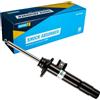 Bilstein 22-217981 Ammortizzatore