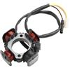 SANCAK Magneto Statore A 3 Fili 84mm Per 2 Tempi 50cc D1E41QMB Adatto Malaguti CR1 50 Crosser - 1996-2001 Statore Ricarica