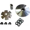 Generico Variatore Completo Compatibile con Honda SH 125-150, 2005-2012