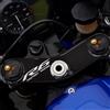 labelbike - Adesivo 3D Moto Piastra Forcella Sterzo Protezione e Decorazione in Resina compatibile con Yamaha R6 da 2017