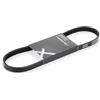 RIDEX 305P0210 Cinghia servizi Compatibilità con FORD Focus II Hatchback DA, HCP, DP