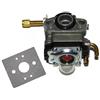 perfektGarten Carburatore compatibile con OleoMac SPARTA 25, 250 Motorsense Freischneider