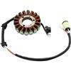 CLWYWUL Compatibile con Yamaha per Yfm250 per Raptor 250 Special Edition 2008 2009/2011 Bobina Statore Magnete Moto 4D3-81410-00 Statore Bobina