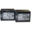 vhbw 2 x Batterie VHBW 1300mAh compatibile con Foto/Videocamera Sony HDR-CX130ER, HDR-CX130ES, HDR-CX130EL, HDR-CX160, HDR-CX160E, HDR-PJ10, HDR-PJ10E