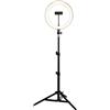 B-BLACK Luce ad Anello Dimmerabile, Ring Light 25 cm con Treppiede E Supporto per Telefono Cellulare Luce Selfie Anello Modalità a 3 Luci per Trucco, Fotografia, Selfie e Video YouTube, Streaming