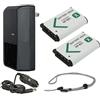 Hila Optics. Batterie Intelligent' (2 unità) + caricabatterie da viaggio AC/DC compatibile con Leica V-LUX (Typ 114)