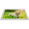 BAOK Cornice Intelligente, Cornice per Foto Digitale da 22 Pollici 1080P con Regali di Supporto (Spina UE)