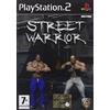 Taito Street Warrior