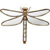 CHEHOMA Specchio libellula dorato 35x26cm