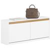 SoBuy Cassapanca Contenitore da Interno Panca Scarpiera da Ingresso con Contenitore e Seduta - Adatta a Ingressi, Soggiorni e Camere, Bianco, 104x30x47 cm, Testata per 240 kg, FSR171-W