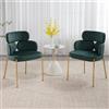 DAYALANE Set di 2 Sedie da Pranzo Moderne Sedie da Cucina in Velluto Sedie Imbottite con Gambe in Metallo Dorato Poltroncine Sala da Pranzo per Soggiorno/Camera da Letto, Verde