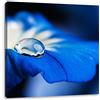 Pixxprint Goccioline di Acqua su Fiore Blu Stampa su Tela 40x40 cm Artistica murale