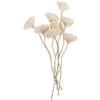 OPIGJUFD Bastoncini per diffusore Diffusore di Oli Essenziali con Fiori secchi, Aroma Senza Fuoco, Bastoncini for aromaterapia, for diffusore, Olio Rattan per profumazione Ambiente