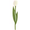 Balvi Segnalibro Tulip Colore bianco Punto di lettura per libri a forma di tulipano colorato, sottile