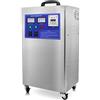 CGOLDENWALL 3-12g / ora Generatore di ozono Disinfezione di aria e acqua Ozonizzatore per piscine alimentari e farmaceutiche Acqua potabile (12g/h)