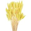 QUARKZMAN 120pz Coda di Coniglio Naturale Fiori Secchi 43cm Mini Erba di Pampa per Decorazioni Floreali Matrimonio Natale, Giallo