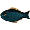 Generic Piatti da insalata a forma di pesce, in ceramica, 30 cm, piatti piani per pasta e dessert, piatti da portata per antipasti, sushi, frutta (verde)