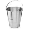 Forgast Secchiello in Acciaio Inox, 15 Litri, Senza Anello, da Cucina, per il Latte, Mangimi, Raffreddatore per Champagne, Con Scala Pratica all'interno