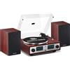 ANGELS HORN Giradischi vintage, giradischi HiFi Bluetooth con altoparlanti da sc