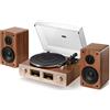 QLEARSOUL HiFire X Giradischi Vinile, Sistema Giradischi HiFi Audiophile con Cas