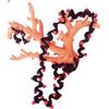 Generico set gioielli,orecchini e collana uncinetto nero e perline rosso scuro