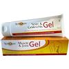 Spirosan Muscle & Joint Gel per la cura contro il dolore, 100 ml Gel per muscoli e articolazioni