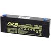 GBC Batteria Al Piombo Ricaricabile 12v, 2.3ah - Faston 4,8mm - Per Gruppi Ups