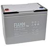 Fiamm 12FGL80 - Batteria al piombo con attacco a vite M8, 12 V, 80000 mAh