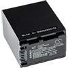 vhbw batteria compatibile con Sony FDR-AX33, FDR-AX45, FDR-AX40, FDR-AX700, FDR-AX60, FDR-AX53 videocamera camcorder (3050mAh, 7,3V, Li-Ion)