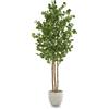 MAIA SHOP Eucalipto artificiale 180 cm, pianta finta grande da interno con tronco naturale, albero decorativo realistico per casa ufficio hotel