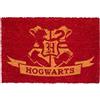 Grupo Erik Zerbino Harry Potter Gadget - Zerbino Ingresso Esterno Cocco Divertente 40x60 cm con Base in PVC Antiscivolo | Tappeto Ingresso Esterno: Regalo Harry Potter