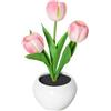 Hxhsgmeh Lampada A Tulipano Lampada da Scrivania A Fiori Lampada da Notte A Tulipano A LED per Il Soggiorno di Casa