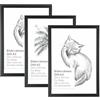 Licht-Erlebnisse Cornici A3 nere set 3 legno plastica infrangibili 45 x 32,5 cm quadrate verticali orizzontali