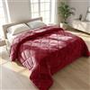Il Gruppone Passione Casa IlGruppone Trapunta Matrimoniale Velluto Retro in Microfibra Piumone Invernale Effetto Piuma 560 Gr/mq Piumino Caldo Due Piazze Inverno Coperta Duck Friendly - Matrimoniale - Bordeaux2