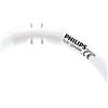 Philips 64221925 Anello Tubo Master TL5 Circolare 22 W/840 2 GX13
