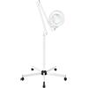 panfudongk 8 luci a LED con lente d'ingrandimento con luce da 24 W, lampada da tavolo con lente d'ingrandimento per studio cosmetico, ingrandimento 8X, risparmio energetico, con ruote e braccio regolabile.