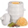 KADAX Pentola in gres porcellanato, pozzo in ceramica con grondaia e coperchio, lavabile in lavastoviglie, vaso in ceramica, per cetrioli (crema, 8 L)