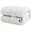 Italian Bed Linen Piumino Estivo Prestige, Made in Italy, Trapuntino Leggero Traspirante, - Trapunta Microfibra Mano Pesca Imbottita - 1 Piazza e Mezza Primaverile, Lavabile Lavatrice (Piazza e Mezza, 200x200cm)