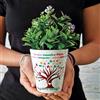 Generico Vaso per fiori regalo per la maestra Albero della vita Vasetto personalizzato con classe e i nomi dei bambini