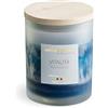 NATURE CANDLE by Bonturi Casa NATURE CANDLE candela profumata 100% cera vegetale - Linea Amati 200g Vitalità - More e Muschio