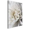 Cuadros B&D XXL - Quadro Fiori 40x60 cm 1 Pezzo - Stampa su Tela Strutturata XXL Grande - Quadri Moderni Soggiorno Grandi - Stampe da Parete Murale Arte Moderno Pittura - bianco b-B-0112-b-a