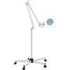 Beaudreaul lampada con lente d'ingrandimento, regolabile a 360°, 5 lampadine, piedistallo e treppiede, ideale per cosmetici e lavoro degli estetisti