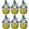 Generic 6 x Damigiana, Fiasco, Bottiglie di Vetro, da 5 l, con Chiusura a Tappo ERMENTICO e cestello - Dama Vetro 5L per Acqua Vino Olio - BOCCIONE Vetro per STOCCAGGIO