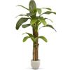 MAIA SHOP Banano artificiale 180 cm, pianta finta grande da interno con tronco naturale, albero decorativo realistico per casa ufficio hotel