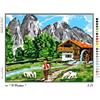 Generico Kit Ricamo Mezzo Punto Croce, Tela Prestampata 60x30 cm, Set Completo con Fili Mouliné in Cotone e Ago, Multicolore (cm 60x50 006)