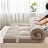 YOUGANG Materasso futon giapponese da pavimento, materasso pieghevole, materasso tatami portatile per campeggio, facile da riporre, tessuto traspirante per materasso da divano (caffè, 90x200cm)