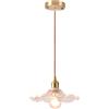 iDEGU Lampada a Sospensione Vintage in Vetro, 22cm Retro Lampadario Paralume in Vetro Plafoniera E27 Moderna Illuminazione da Soffitto Decor Lampada per Cameretta Cucina Caffetteria (Trasparente)