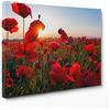 ConKrea Quadro su Tela Canvas - INTELAIATO - Pronto da Appendere - Papaveri Rossi - Fiori Natura - Panorama Paesaggio - 50x70cm - Senza Cornice - (cod.4568)